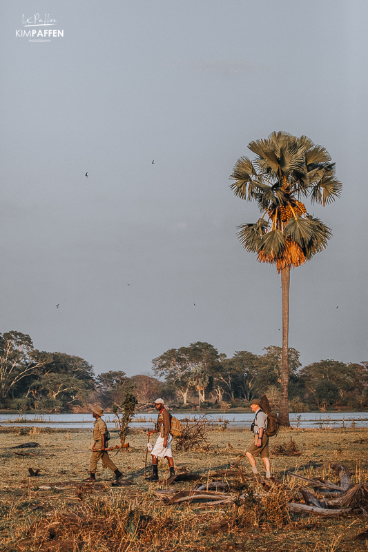 Walking Safari in Liwonde National Park Malawi