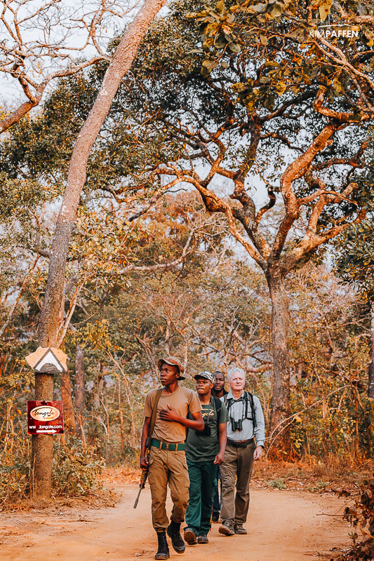 walking safari nkhotakota reserve malawi