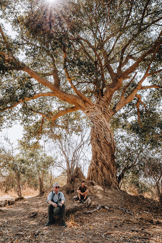 Walking safari in North Luangwa Zambia