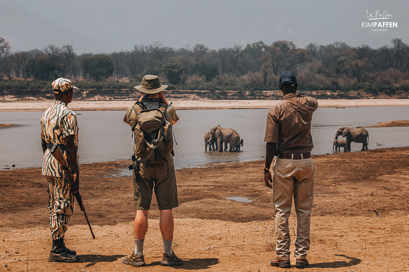 Walking Safari South Luangwa with Bushcamp Company