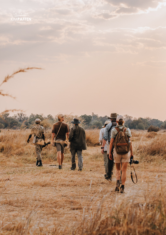 walking safari in North Luangwa National Park at sunset