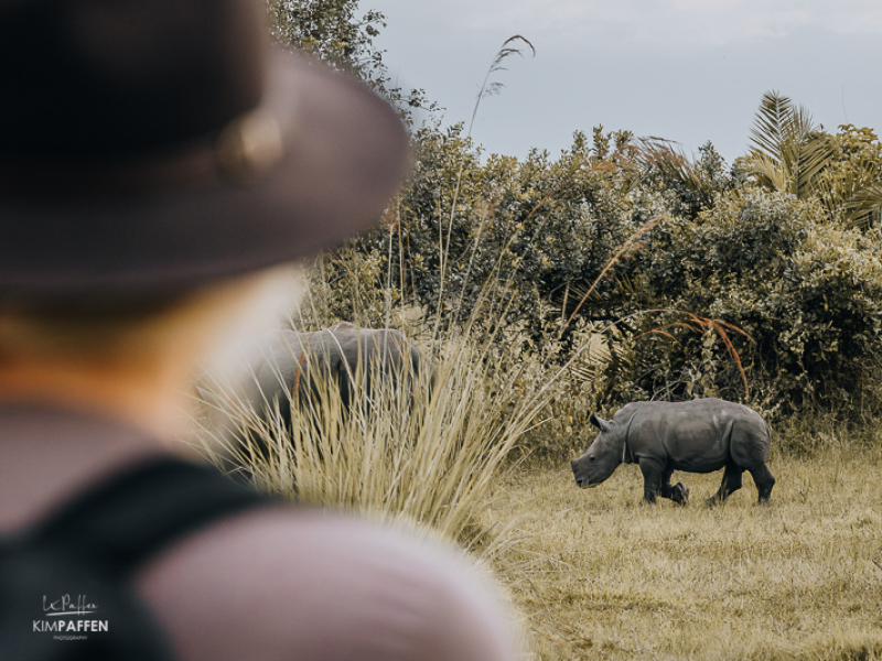 Spot White Rhinos at Ziwa Rhino Sanctuary Uganda