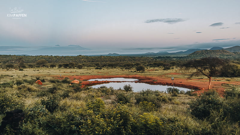 waterhole Serena Kilaguni Tsavo West