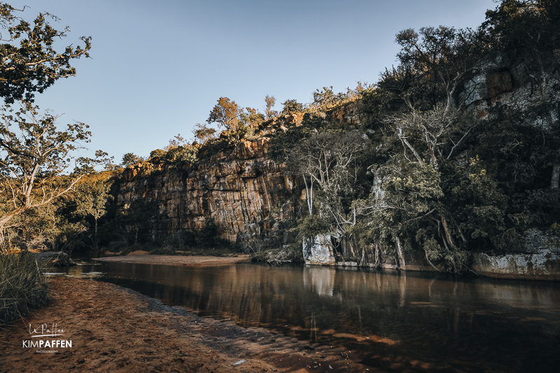 Welgevonden Game Reserve Waterberg Region