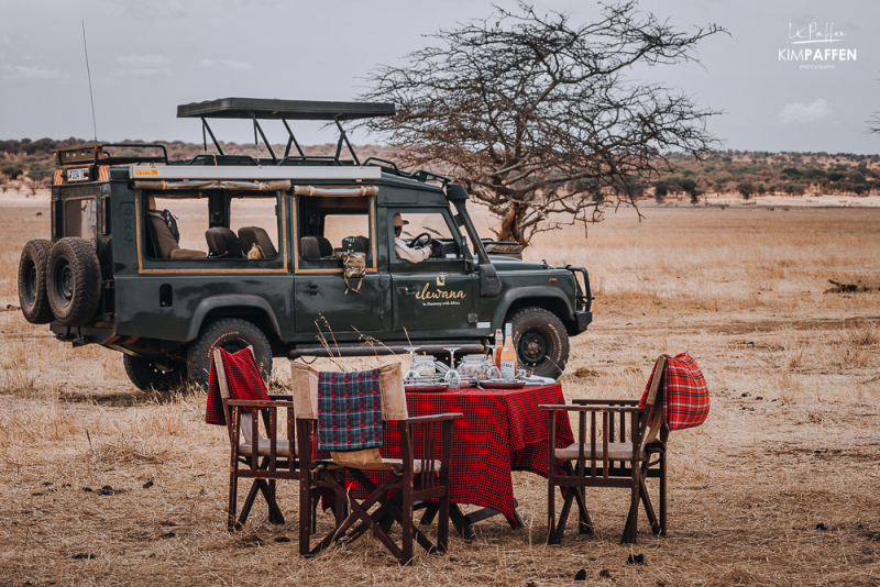 best place to stay Tarangire National Park Tanzania