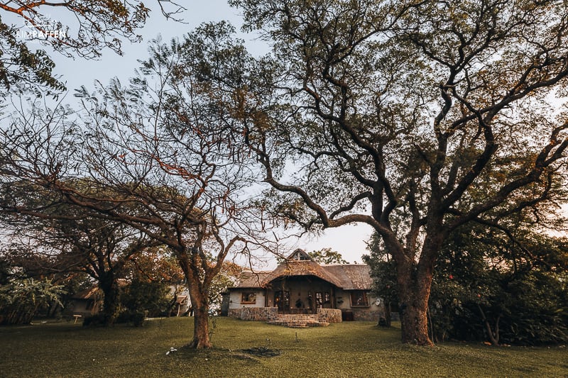 Garden at Wild Dogs Lodge Zambia