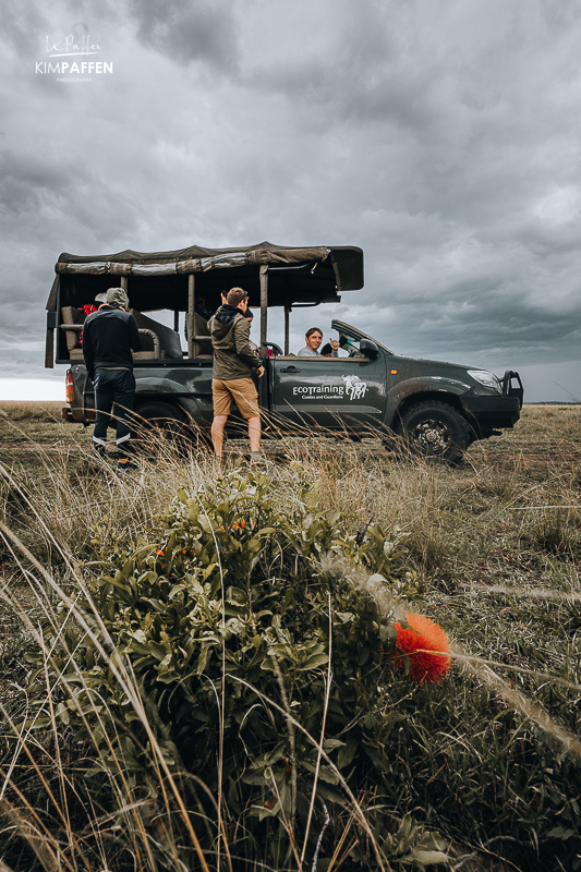 Learn about flowers in the Maasai Mara on a safari guide course in Kenya