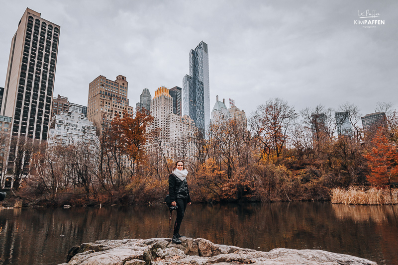 Winter in Central Park Manhattan