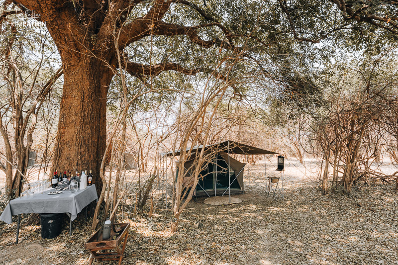 Best place for bush camping in South Luangwa Zambia