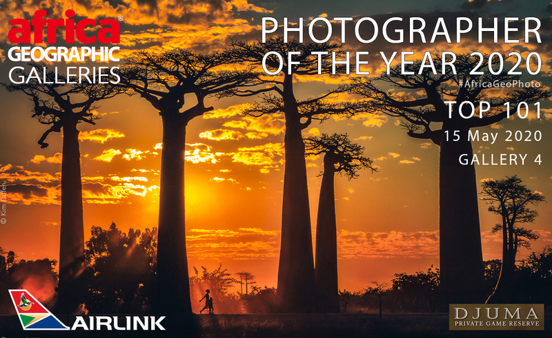 Africa Geographic Photographer of the Year finalist with Madagascan Baobab photo Africa Geographic Photographer of the Year finalist with Madagascan Baobab photo