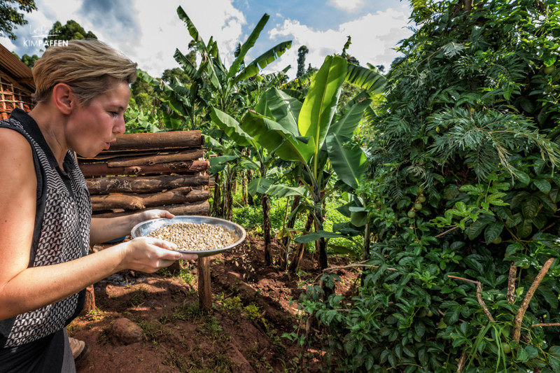 Coffee plantation visit local community Uganda