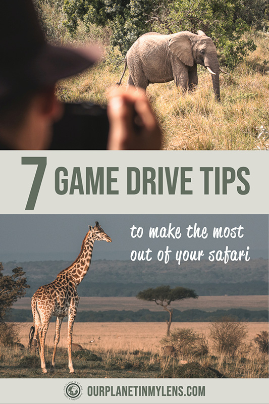 best game drive tips to make the most out of your African safari