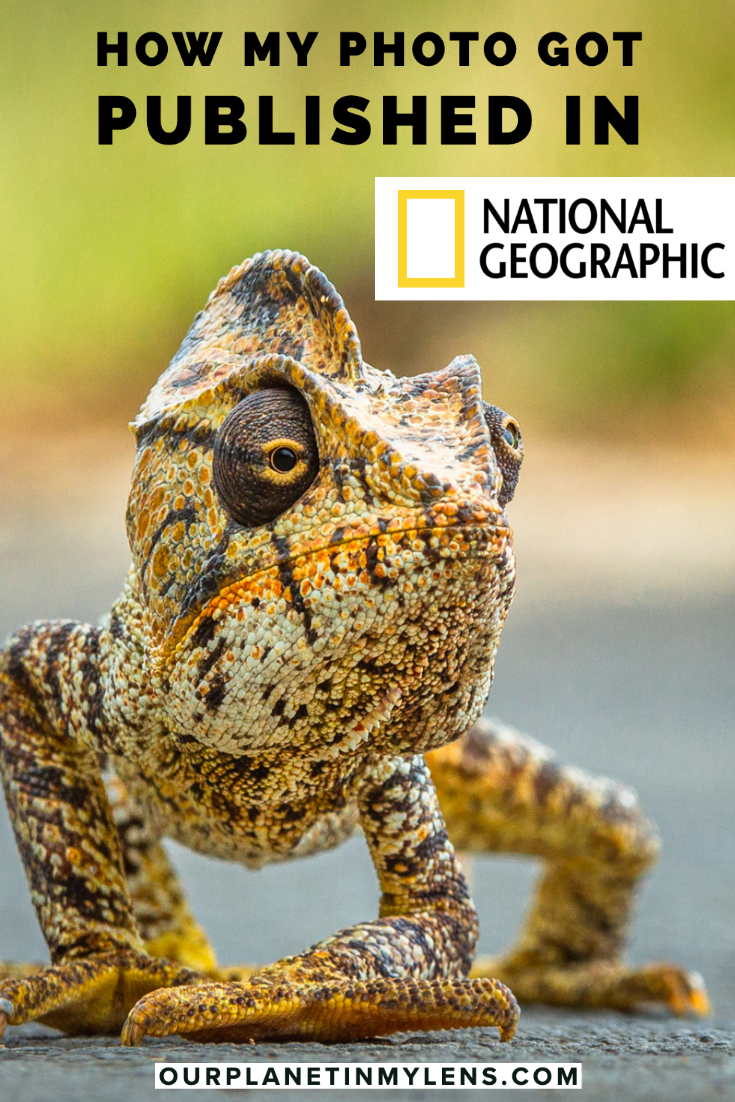 How my photo got published in National Geographic Magazine