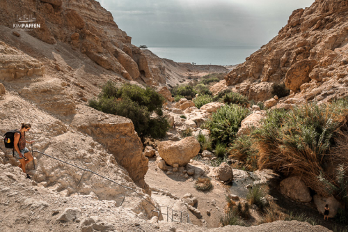 Israel Travel: Ein Gedi Nature Reserve