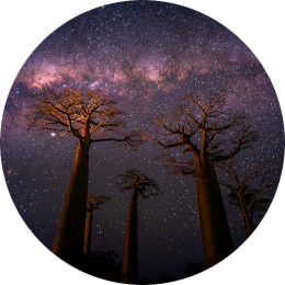 Milky Way Photography Avenue of the Baobabs Madagascar