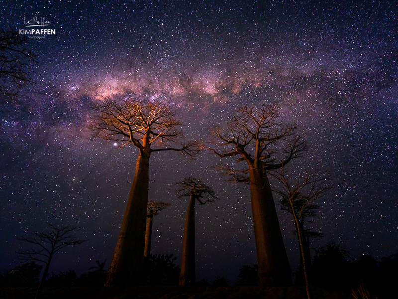 Milky Way Photography Avenue of the Baobabs Madagascar