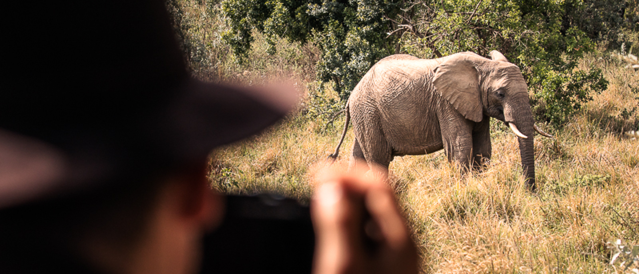 Photographing Wildlife in the Maasai Mara Kenya
