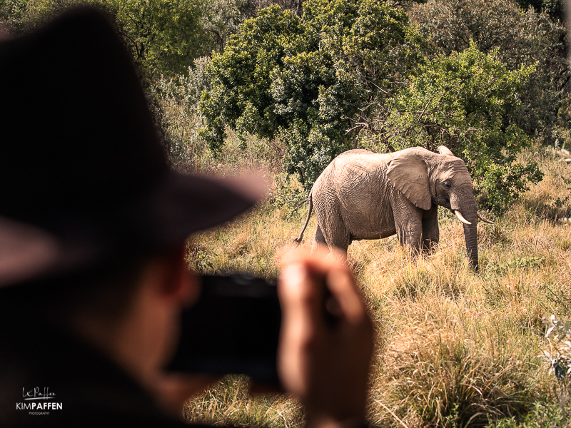 photographing wildlife Maasai Mara Kenya
