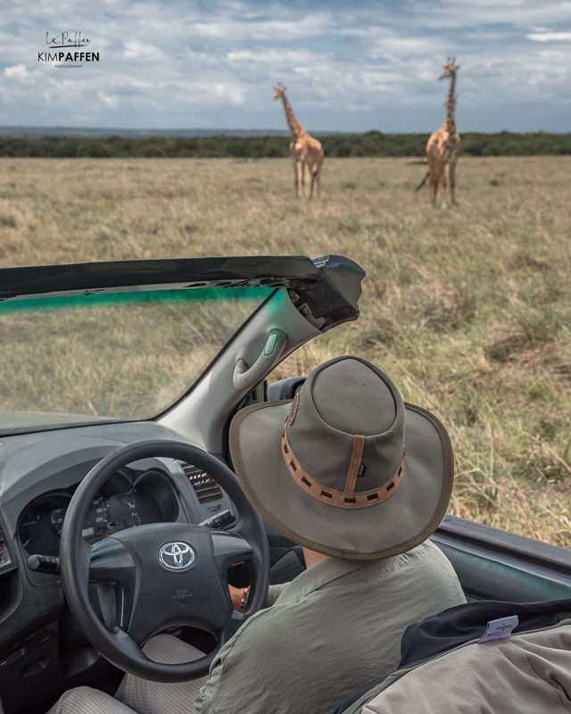 How to get around in Masai Mara National Reserve, self-driving in Maasai Mara
