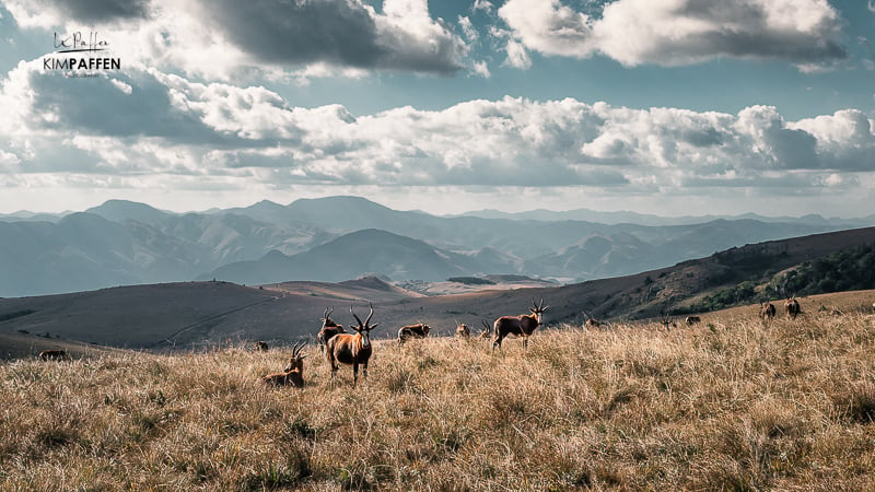 Malolotja National Park is one of the best places to see in Swaziland (Eswatini)