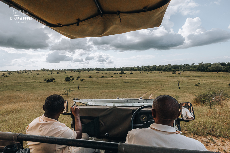 On safari through the Beho Beho area, with open grassland