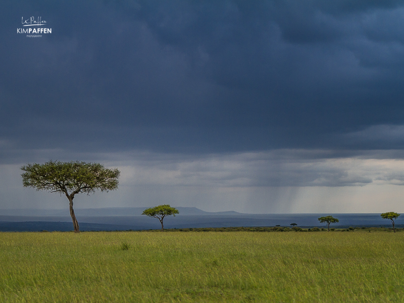 masai-mara-landscape