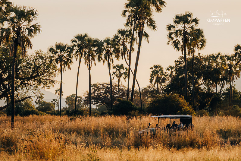 Northern versus southern Tanzania: two completely different safari experiences