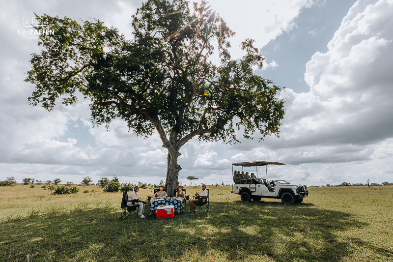 A quiet safari in Nyerere National Park, with few other vehicles and plenty of space
