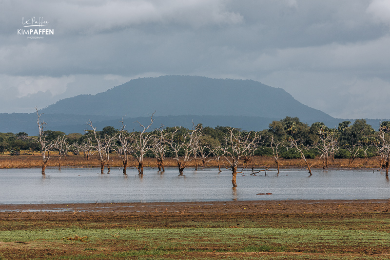 The former Selous Game Reserve in Tanzania is now largely known as Nyerere National Park