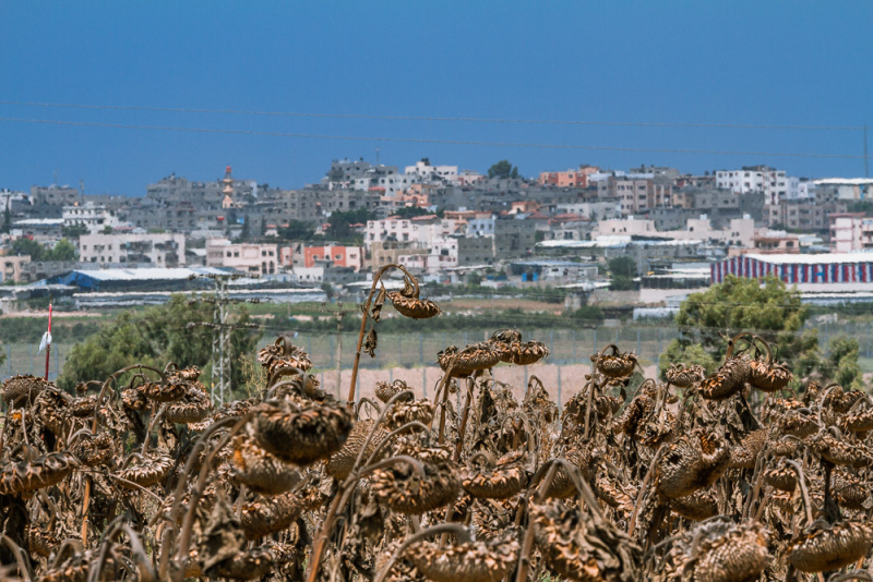 Gaza-border-gaza-israel-conflict