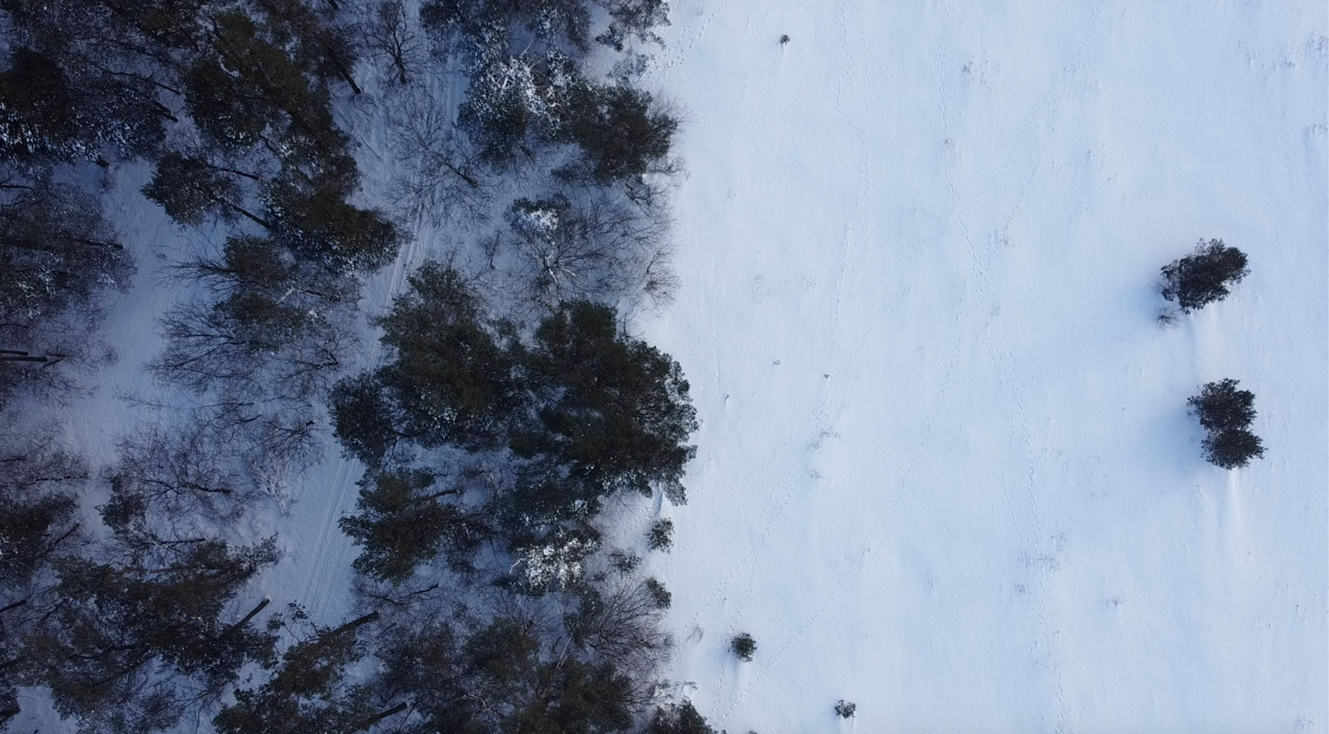 Drone shot van Veluwe in de sneeuw.