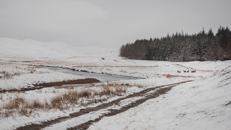 schotland-winter-landschap