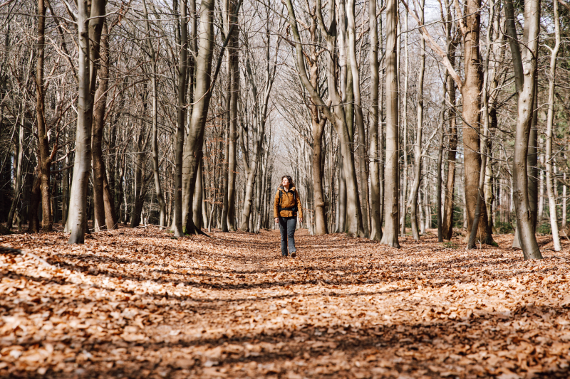 Beste tijd voor de 100 km van Appelscha