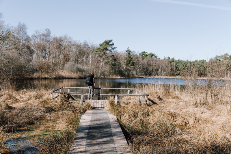 Diakonievene langs de 100 km van Appelscha