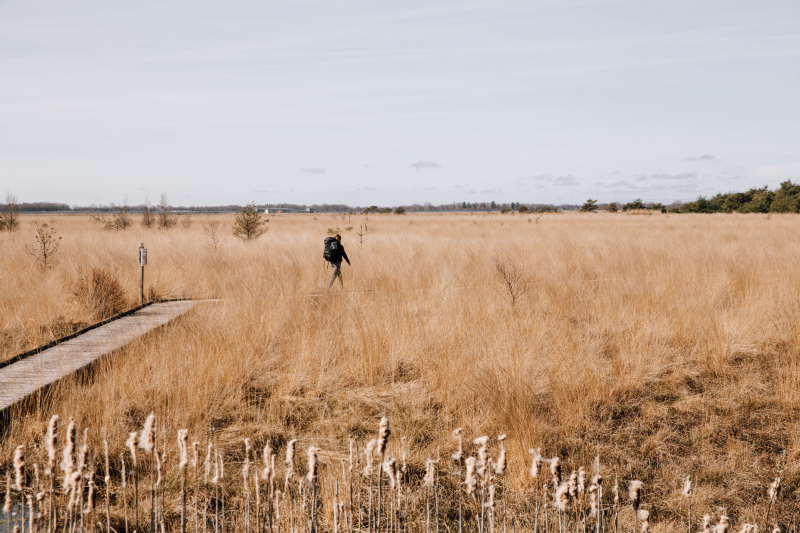 Fochteloërveen Fochteloërveen