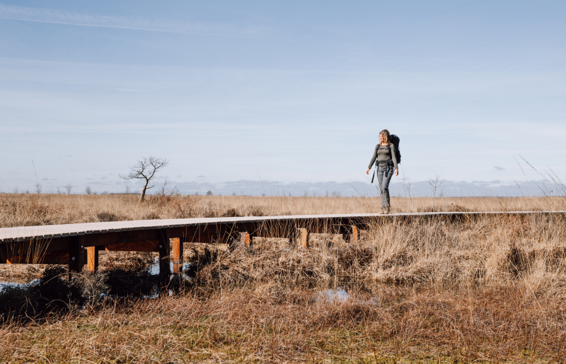 100 km van Appelscha in Friesland