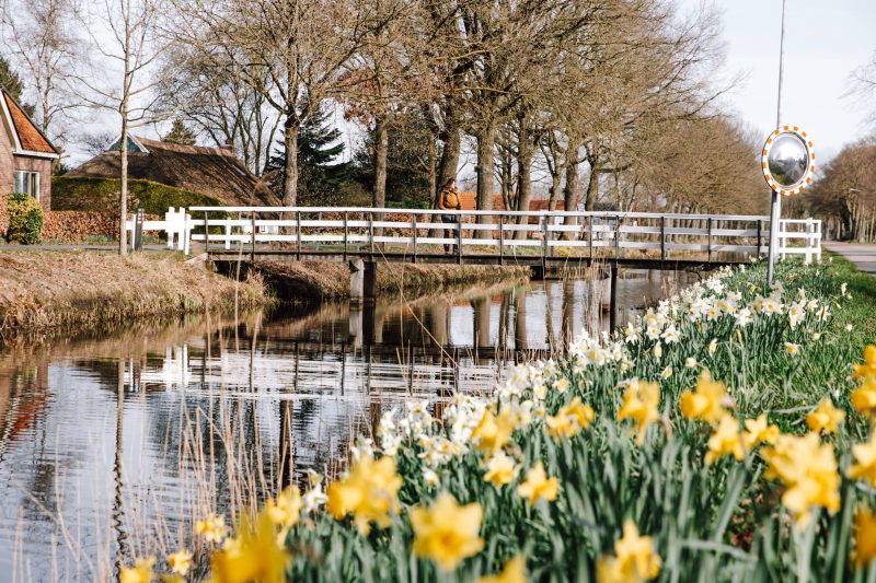 100 km van Appelscha in de lente