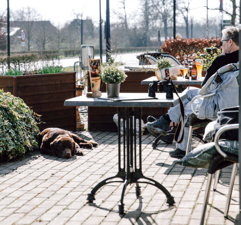 100 km van Appelscha met je hond