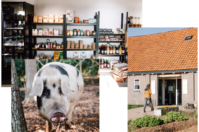 Wij starten de 100 km van Appelscha in Nijeberkoop
