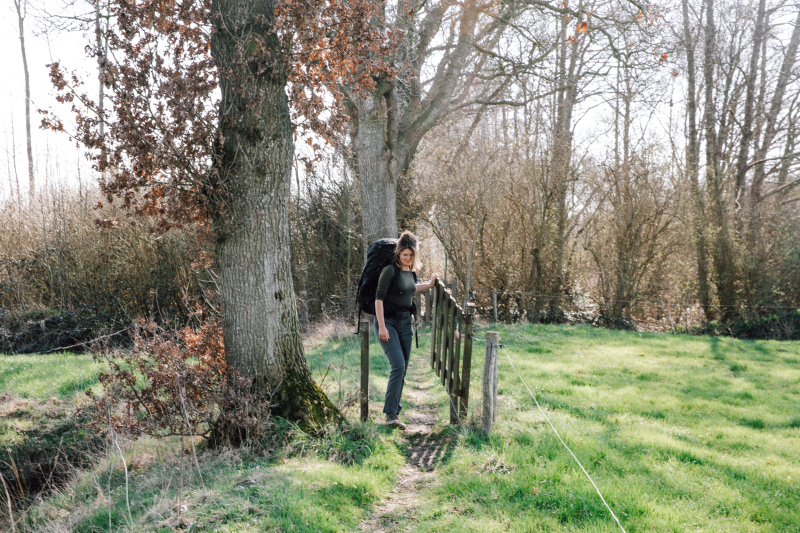 Sfeerbeschrijving van de 100 km van Appelscha
