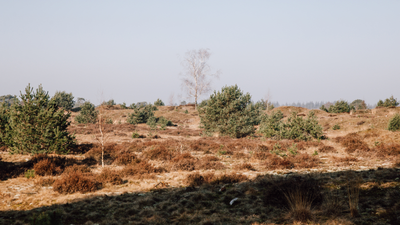 100 km van Appelscha