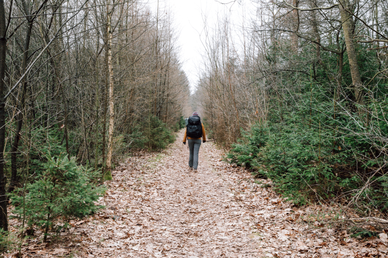 Wandeltips voor de 100 km van Appelscha