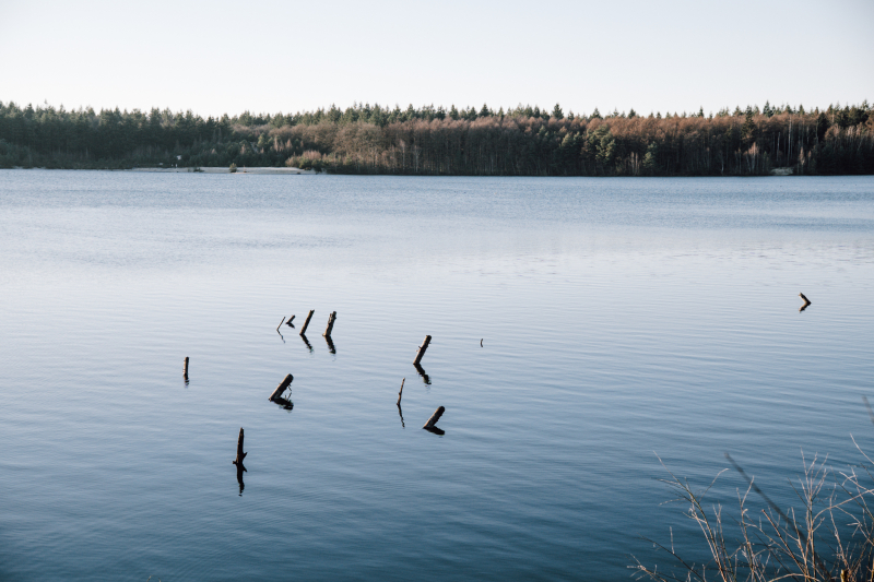 2-daagse-hike-borger