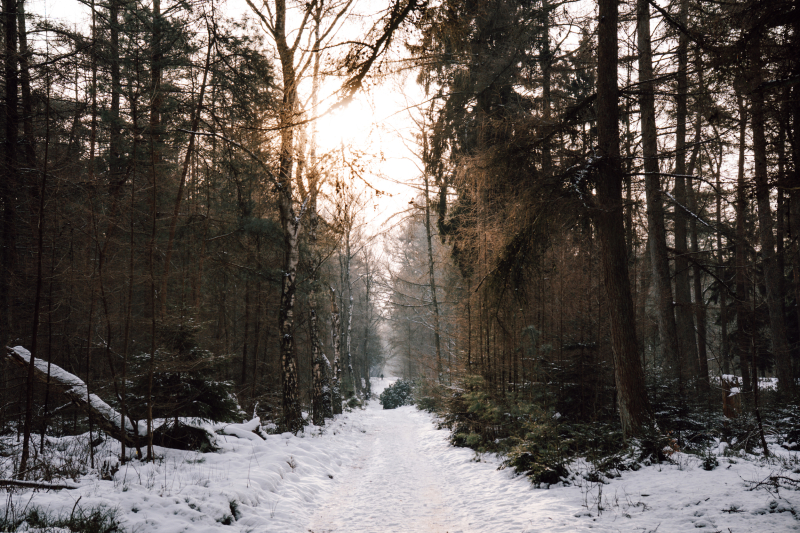 2-daagse-hike-eerbeek