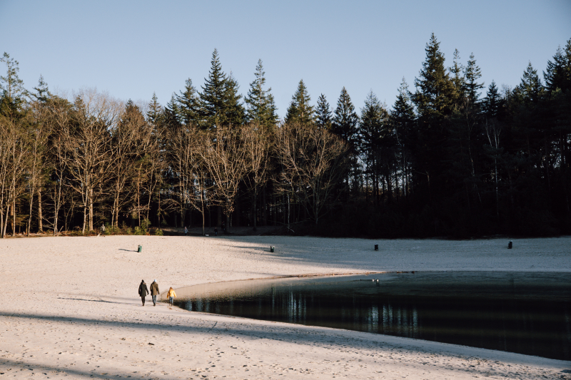 2-daagse-wandeling-gasselterveld