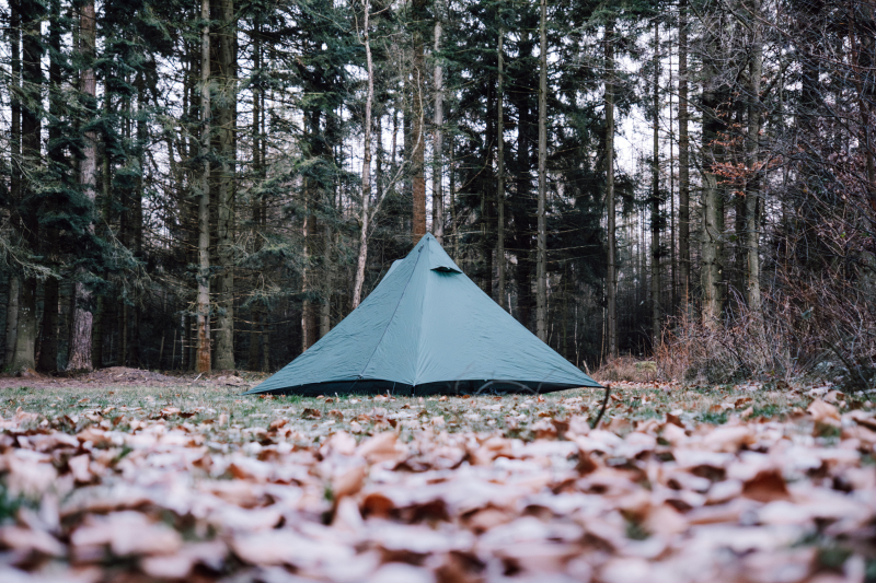 2-daagse-wandeling-natuurkampeerterrein-borger