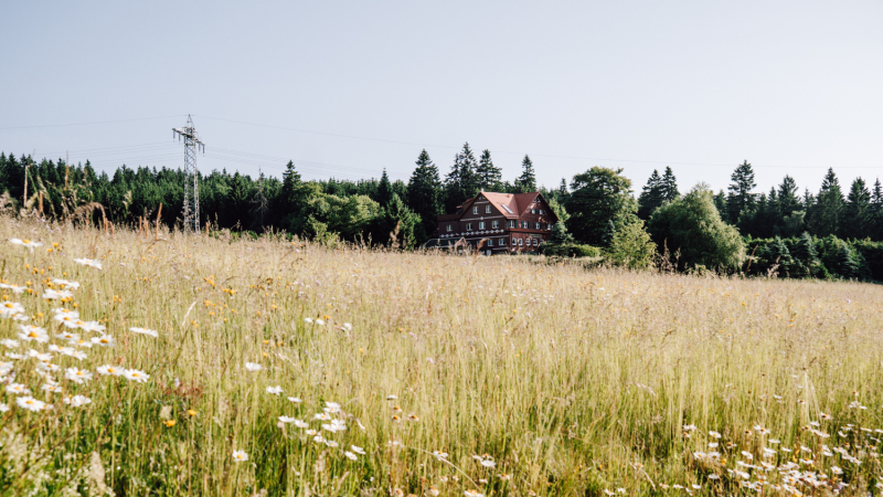 2-daagse-wandeling-rennsteig