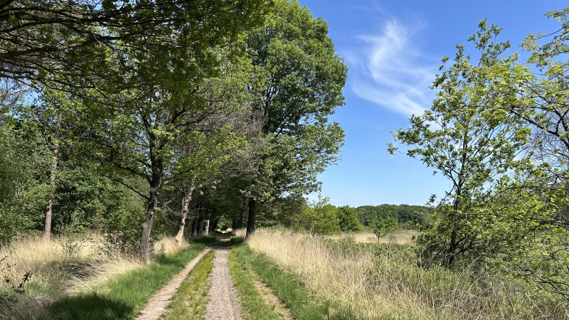 2-daagse-wandelroute-brabant-kampina