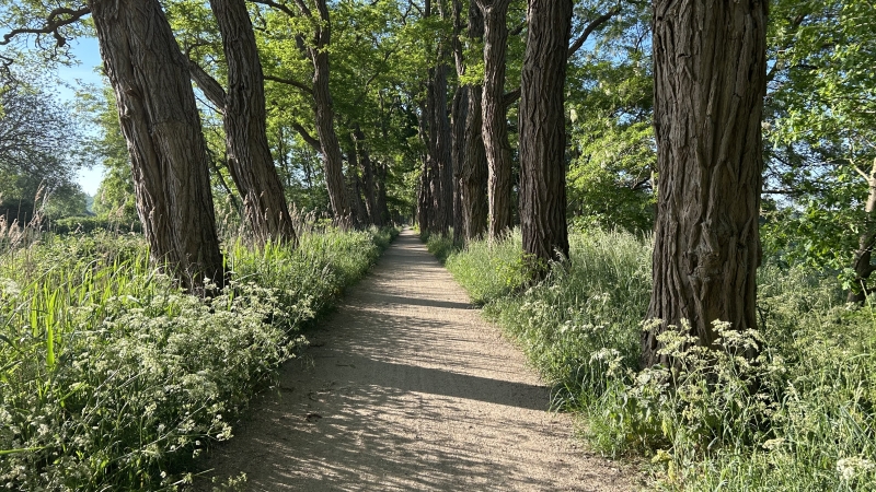 2-daagse-wandelroute-brabant-met-goirle