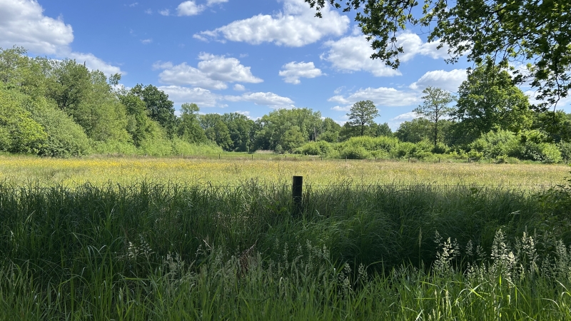2-daagse-wandelroute-brabant-met-liempde